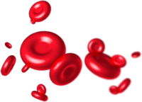 globulos_rojos